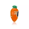 Talisman din argint Little Carrot picture - 1