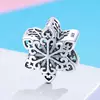 Talisman din argint Snowflake picture - 4