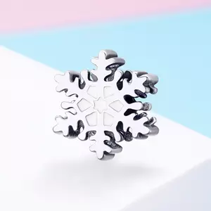 Talisman din argint Winter White Snowflake