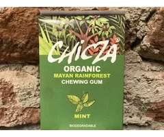 ECO CHEWING GUM WITH MINT 30 GR