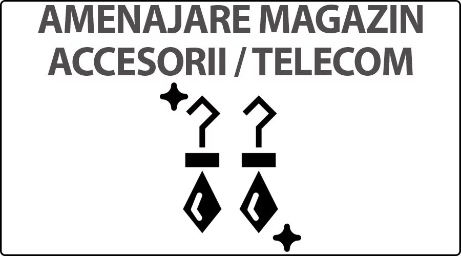 ACCESORII