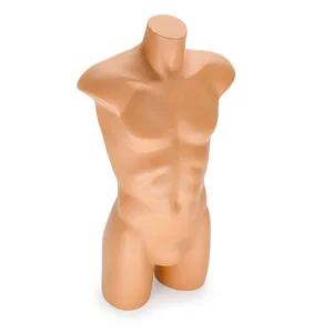 Bust barbat Herchule