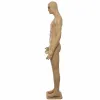Manechin plastic barbat MP-17 picture - 3