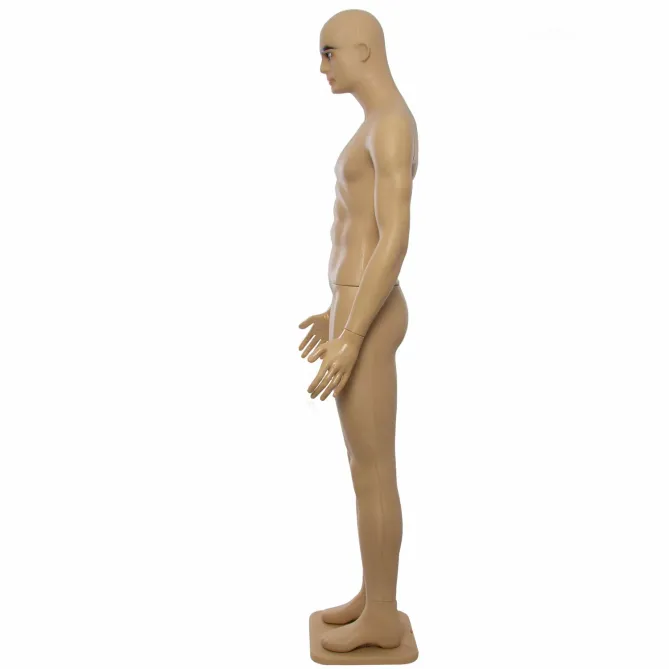 Manechin plastic barbat MP-17 picture - 3