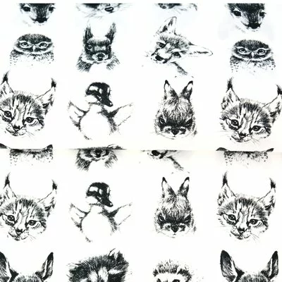 Poplin Imprimat - Funky Animals