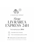 Livrare Express in 24H picture - 1