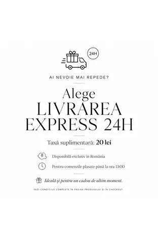 Livrare Express in 24H
