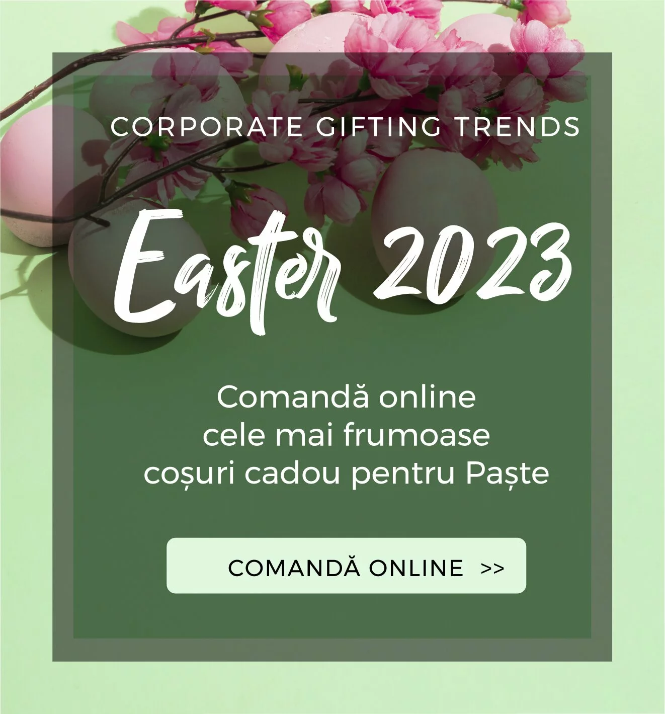 Paste 2023