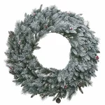 Coronita Craciun, Plastic, Verde, Snowy Wreath