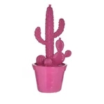 Decoratiune cactus, Polirasina, Roz, Cactus