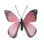Decoratiune fluture mediu, Hartie, Roz, Hespi