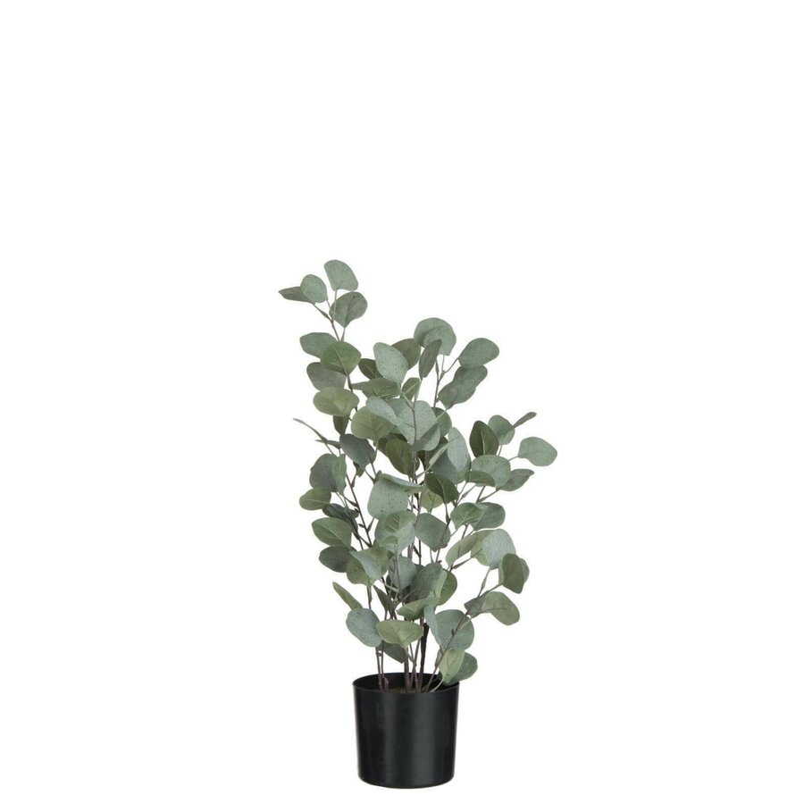 Eucalyptus Planta artificiala in ghiveci, Plastic, Verde iedera.ro