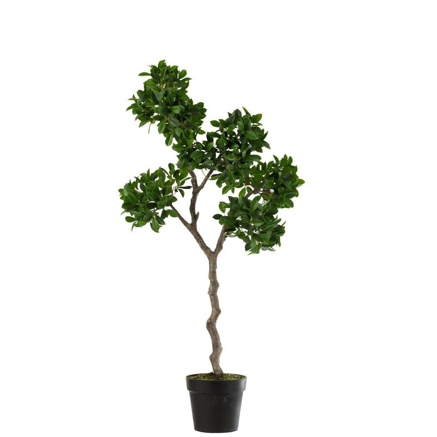 Poza Gins Ficus Ginseng artificial, Plastic, Verde
