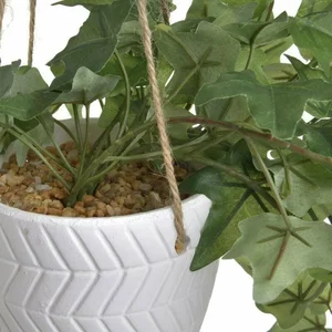 Iedera curgatoare in ghiveci, Plastic, Verde, Plant