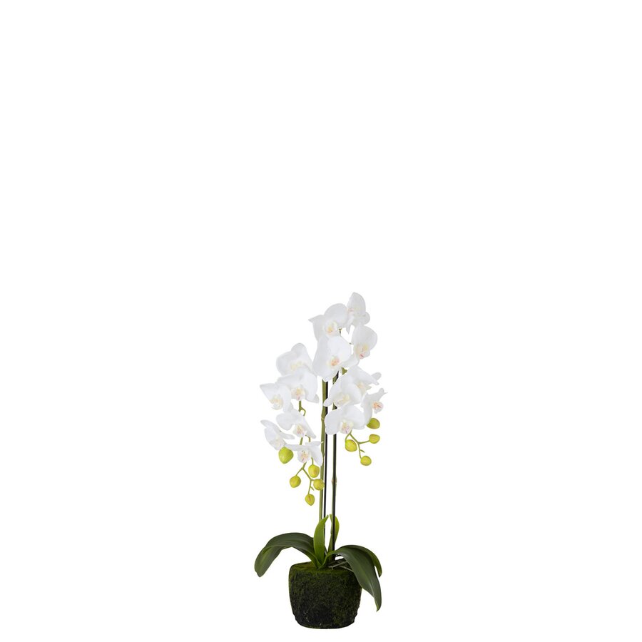 Orhidee Floare artificiala ghiveci, Plastic, Alb iedera.ro