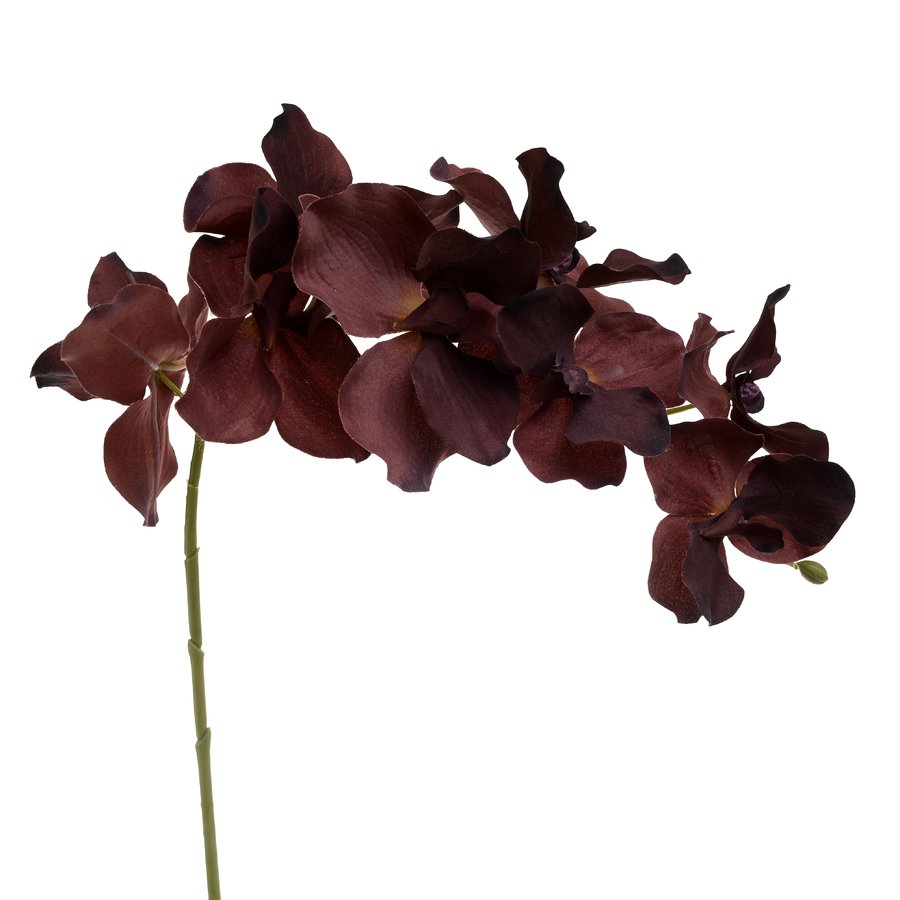 Orhidee Floare artificiala, Plastic, Rosu iedera.ro