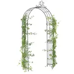 Arcada gradina, Metal, Negru, Elegant Arch