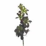 Planta artificiala Suculenta, Plastic, Multicolor, Sedum