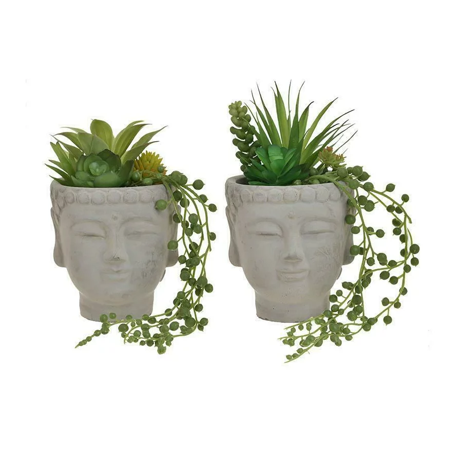 triatlon unghi Ascundere  Set 2 ghivece cu plante suculente, Plastic, Verde, Buddha Face