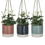 Set 3 plante in ghiveci suspendabil, Plastic, Multicolor, Forma