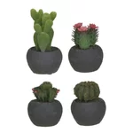 Set 4 plante suculente, Plastic, Negru, Luis