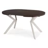 Masa Extensibila Peroni E, 100-250x100x75 h cm, Metal/MDF, Casmir/Nuc picture - 3