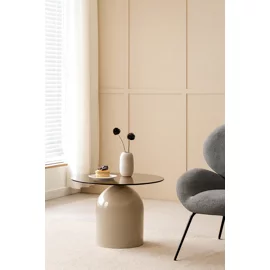 Masuta de Cafea Nero B, 50x40, Metal/Sticla, Taupe/Fumuriu