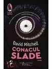 Conacul Slade
