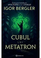 Cubul lui Metatron