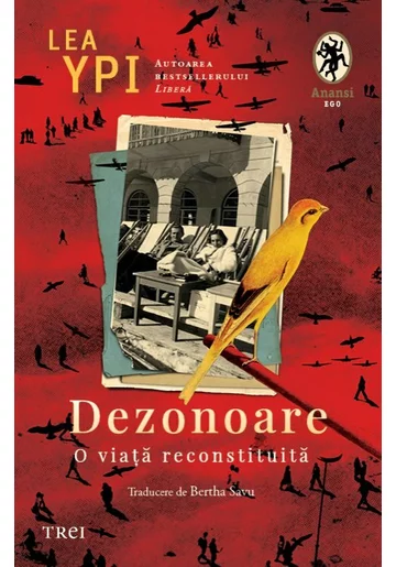 Dezonoare. O viata reconstruita