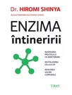 Enzima intineririi