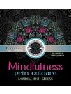 Mindfulness prin culoare - Mandale anti-stres