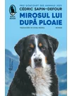 Mirosul lui după ploaie