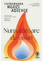 Numaratoare de visuri
