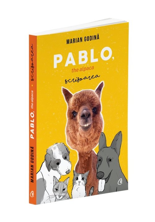 Vezi detalii pentru Pablo, the alpaca. Scrisoarea