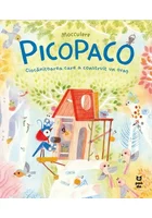 Picopaco