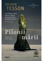 Pilonii marii
