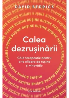 Calea dezrusinarii. Ghid terapeutic pentru a te elibera de rusine si vinovatie