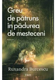 Greu de patruns in padurea de mesteceni