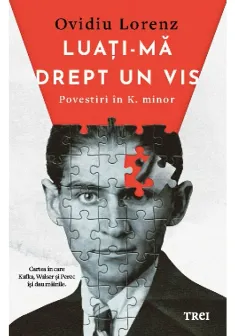 Luati-ma drept un vis. Povestiri in K. minor