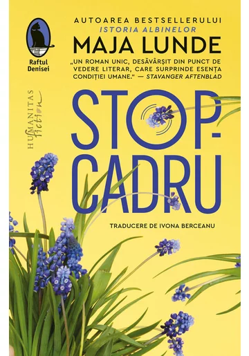 Stop-cadru