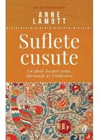 Suflete cusute. Un ghid despre sens, speranta si vindecare
