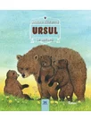 URSUL- Animale salbatice în natura