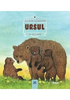 URSUL- Animale salbatice în natura