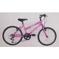 Bicicleta copii Neuzer Cindy Basic Revo - 20