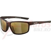 Ochelari Alpina DEFEY brown transparent matt CMGO