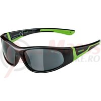Ochelari Alpina Flexxy Junior Frame black/green glass Ceramic black S3