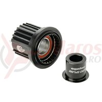 Caseta DT SwissTB Shimano 12 mS pentru 148/142/12mm SA, ratchet hubs