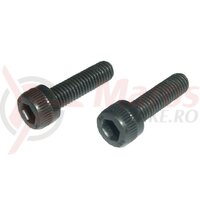 Suruburi pentru pipa Thomson 6 bucati