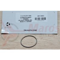 Truvativ HammerSchmidt Overdrive Pawl Spring only